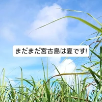 画像234